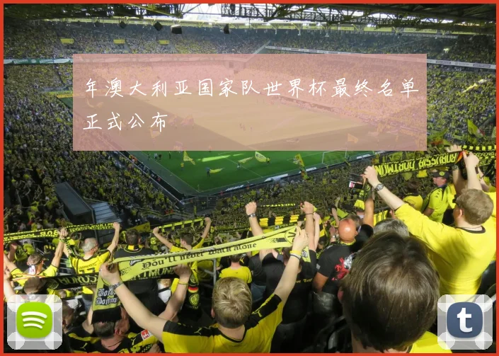 年澳大利亚国家队世界杯最终名单正式公布