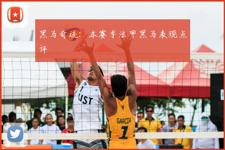 黑马奇迹：本赛季法甲黑马表现点评